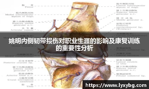 易游体育