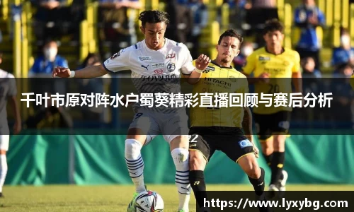 yy易游
